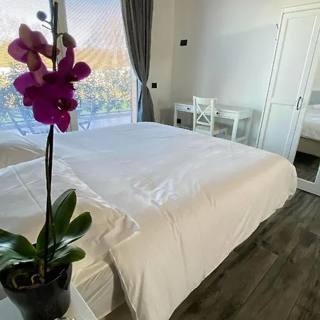 مزرعة للإقامة Albana